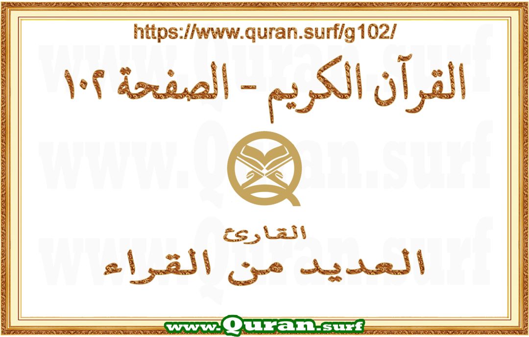 Holy Qur'an Page 102 | Text Highlighting Vertical Videos on Holy Qur'an Recitation