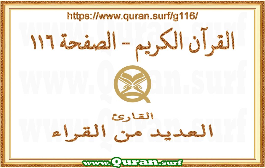 Holy Qur'an Page 116 | Text Highlighting Vertical Videos on Holy Qur'an Recitation