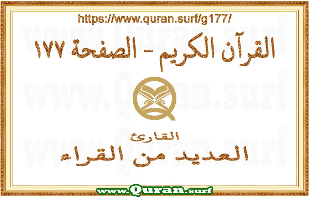 Holy Qur'an Page 177 | Text Highlighting Vertical Videos on Holy Qur'an Recitation