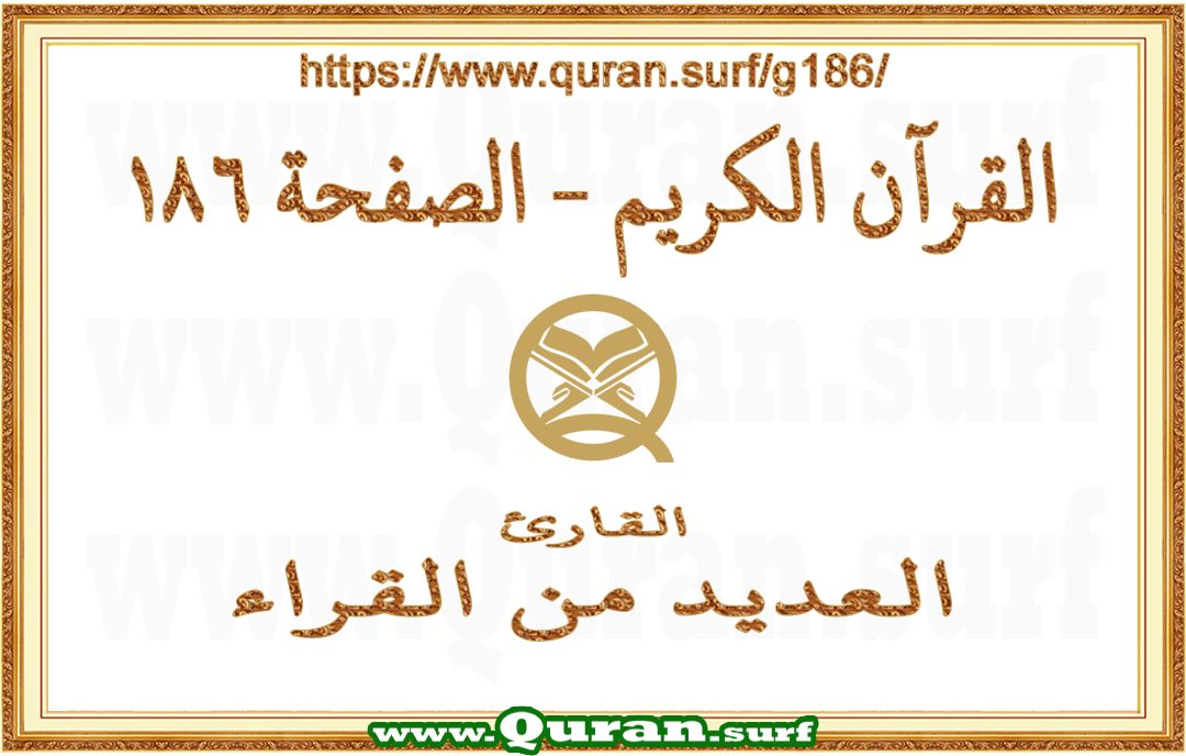 Holy Qur'an Page 186 | Text Highlighting Vertical Videos on Holy Qur'an Recitation
