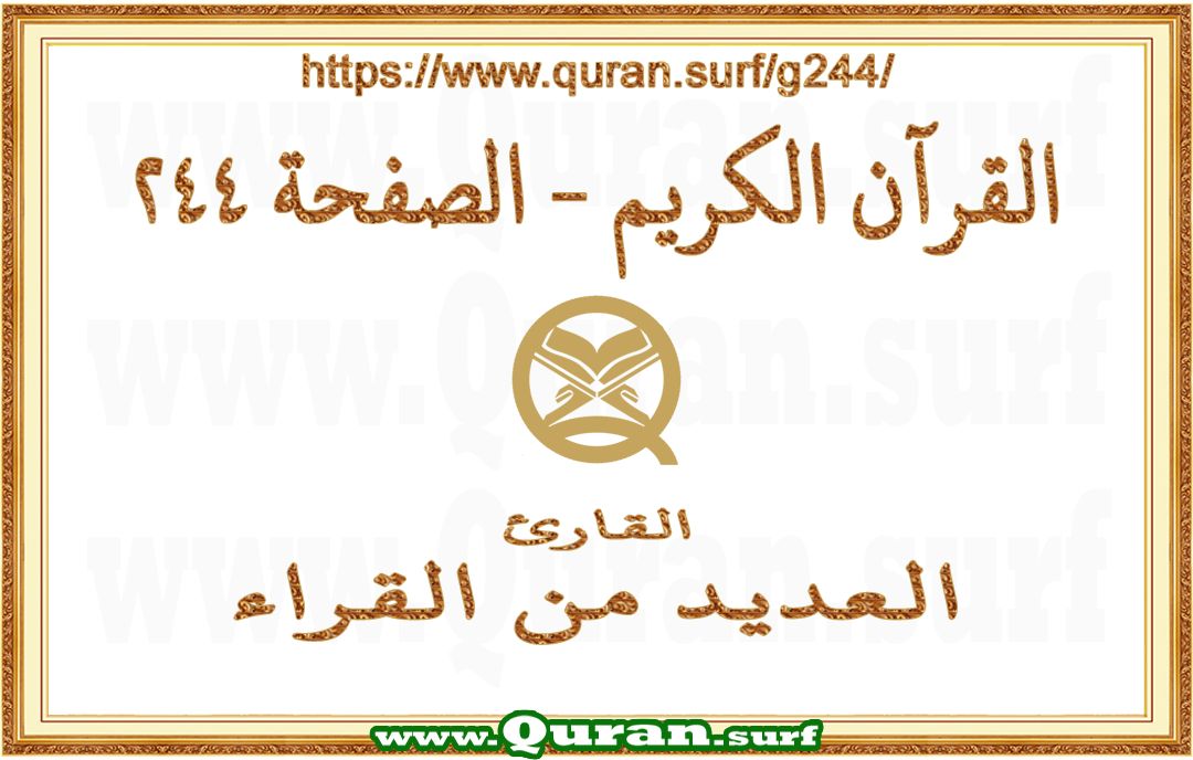 Holy Qur'an Page 244 | Text Highlighting Vertical Videos on Holy Qur'an Recitation