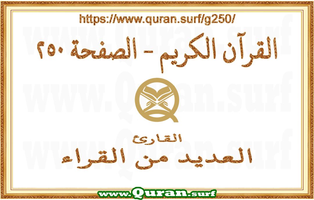 Holy Qur'an Page 250 | Text Highlighting Vertical Videos on Holy Qur'an Recitation
