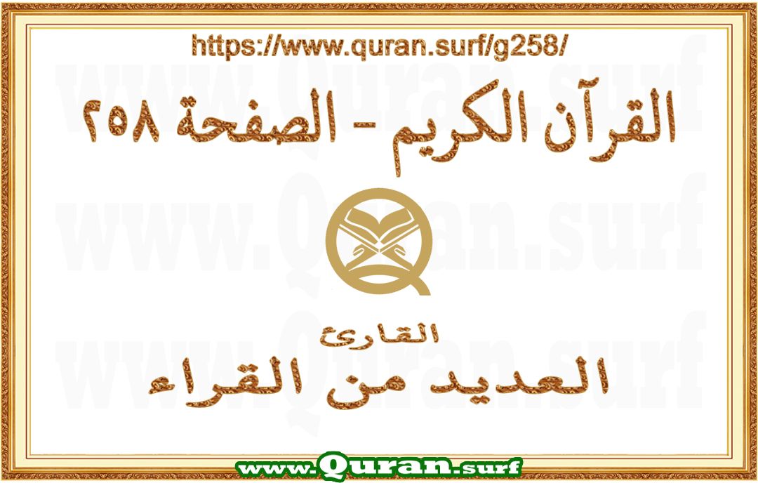 Holy Qur'an Page 258 | Text Highlighting Vertical Videos on Holy Qur'an Recitation