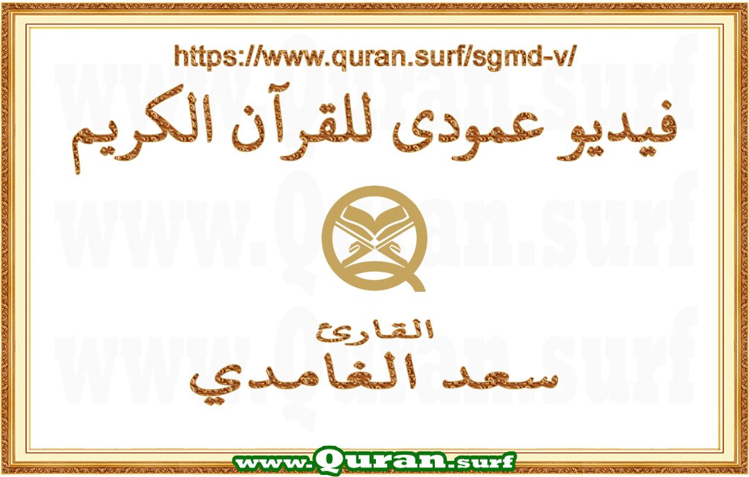 Saad Al-Ghamdi | Text Highlighting Vertical Videos on Holy Qur'an Recitation