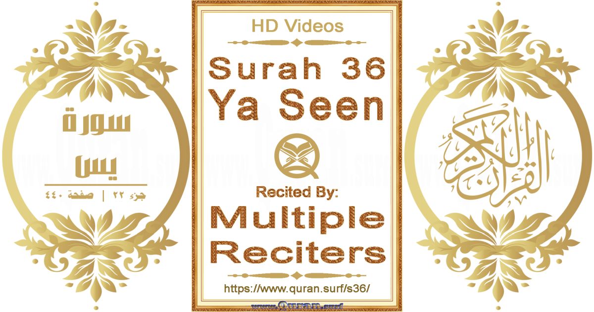 Surah 036 Ya Seen HD videos playlist by multiple reciters class=aligncenter size-full